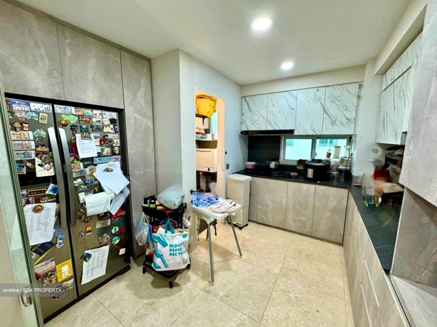 Eight Riversuites (D12), Condominium #466116541